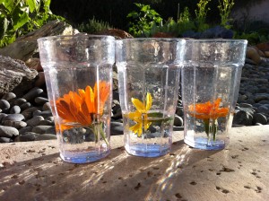 Three Flowers