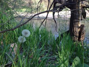 Nebraska river