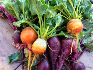 beautiful beets