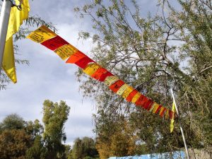 Thanksgiving flags