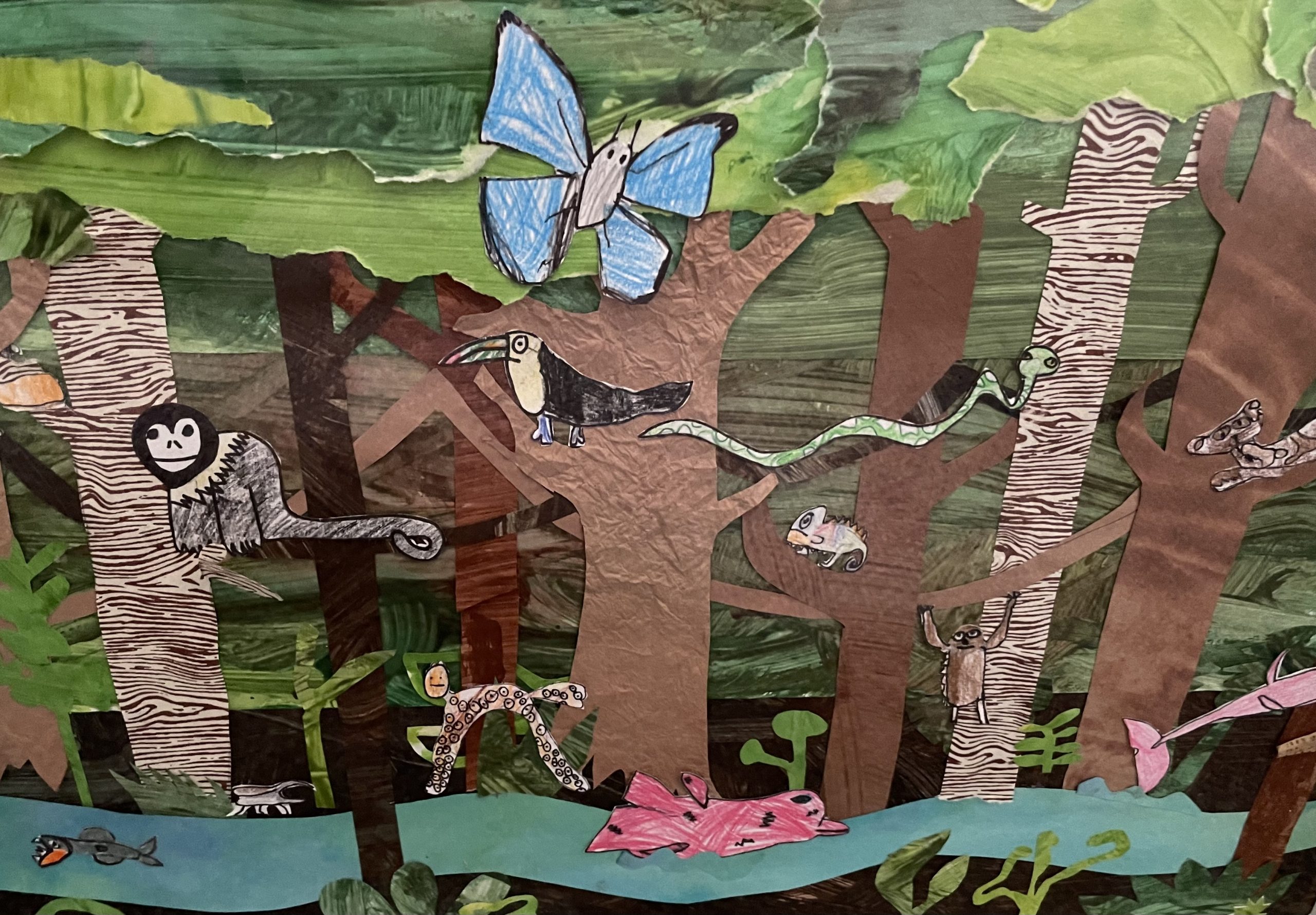 Echolocation - Awakening Seed School
